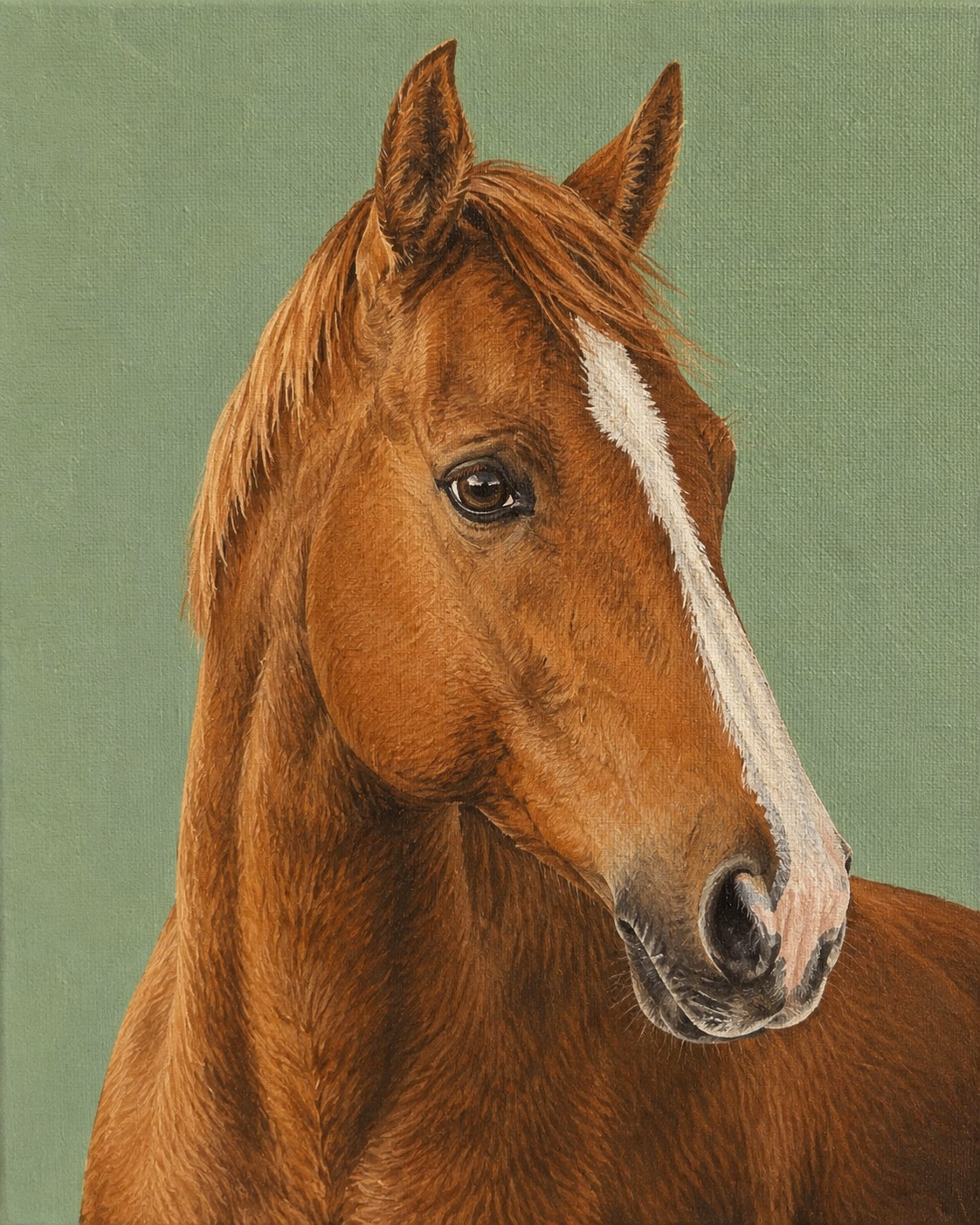Acrylic painting of a chestnut horse with a white blaze on a sage green background
