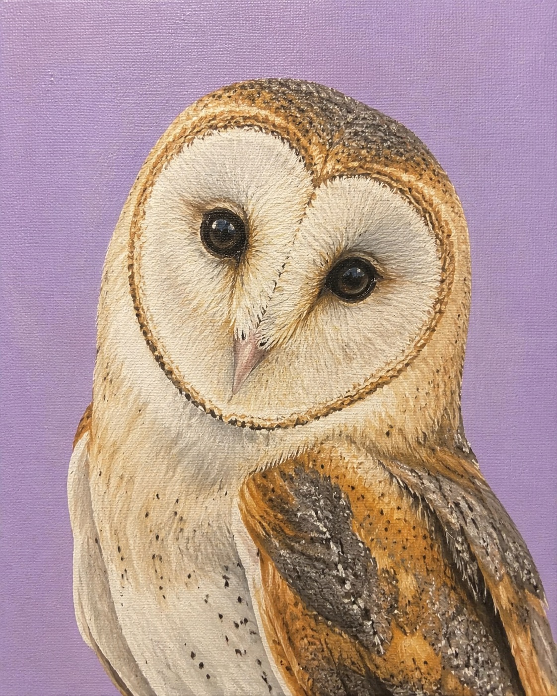 Acrylic painting of a barn owl with a heart-shaped face on a lavender background