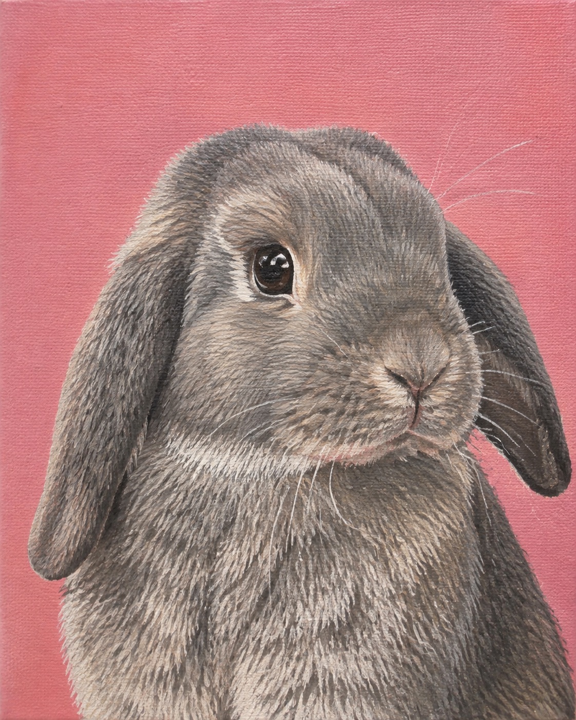 Acrylic painting of a grey lop-eared rabbit on a dusty rose background